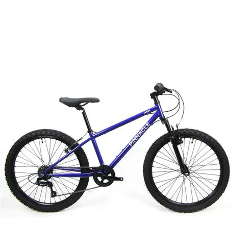 Pinnacle Ash 24 inch Bike Junior