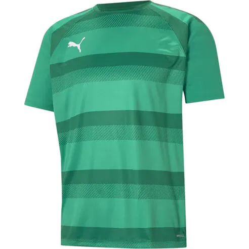 Puma Teamvision Jersey T-Shirt Mens