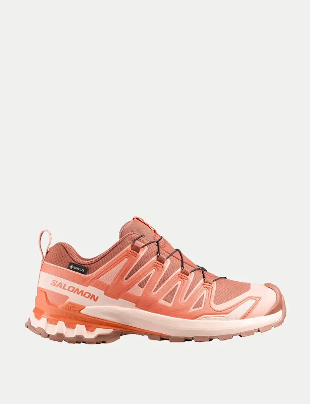Salomon XA Pro 3D V9 GTX Trail Running Trainers
