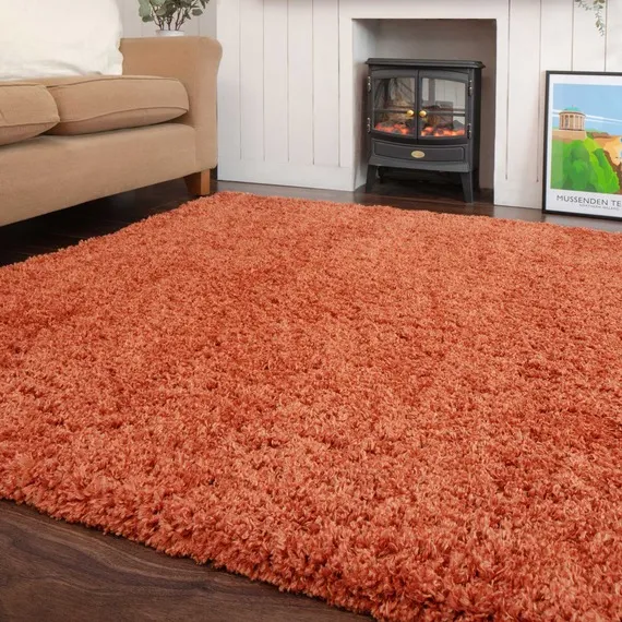 Super Soft Terracotta Orange Shaggy Living Area Rug - Terracotta / 170 x 120cm