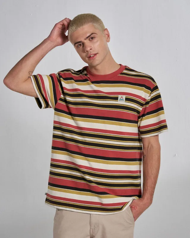 Passenger Clothing Wild Pine Stripe T-Shirt - Redwood Multi Stripe