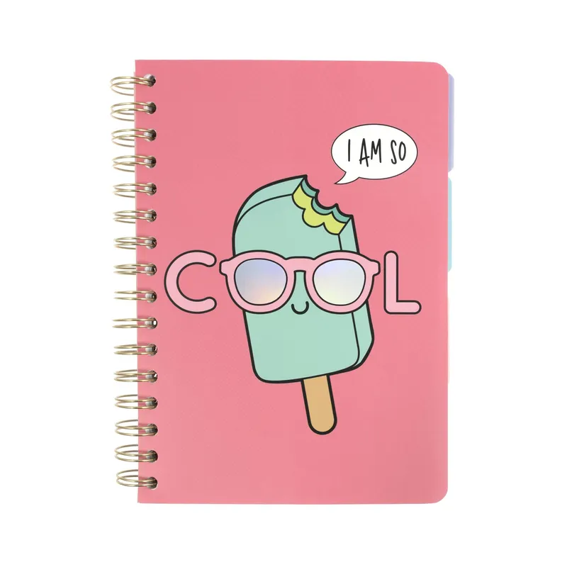 Ice Lolly Project Book A5