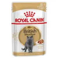Royal Canin British Shorthair Adult in Gravy