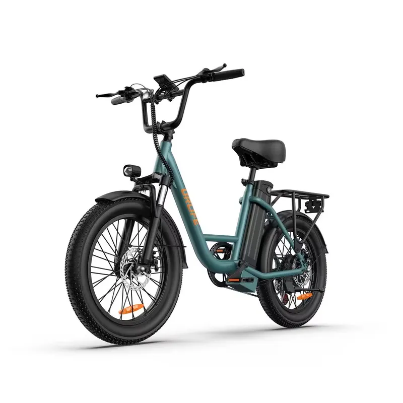 URLIFE Adults Electric Bicycle URLIFE E20 250W Motor, 48V 13AH city ebike 20" Fat Tire