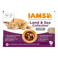 48 x 85g IAMS Advanced Nutrition Wet Cat Food - 36 + 12 Free! *