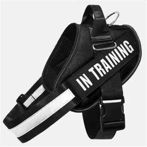 Waggy Tails Pet Harness