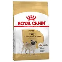 Royal Canin Pug Adult