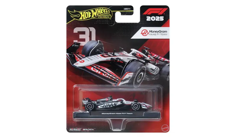 Hot Wheels F1 Collectable Gene Haas Styled Toy Car