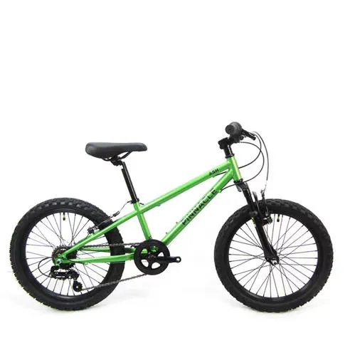 Pinnacle Trail 20 inch Bike Junior