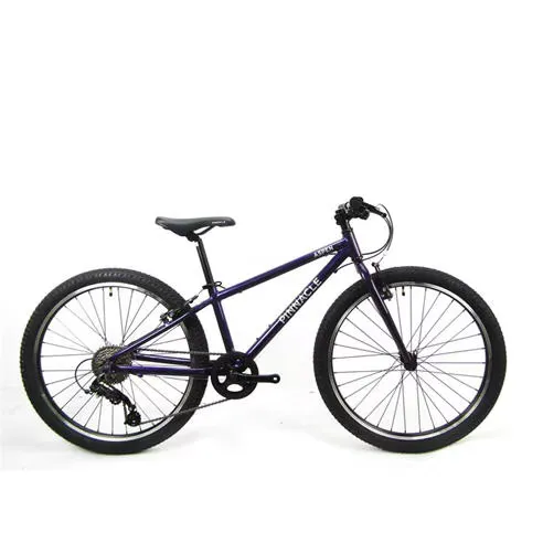 Pinnacle Aspen 26 Inch Bike Junior