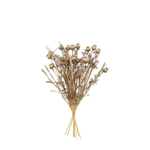 Gallery Dry Look Poppy Bundle Artificial Flowers