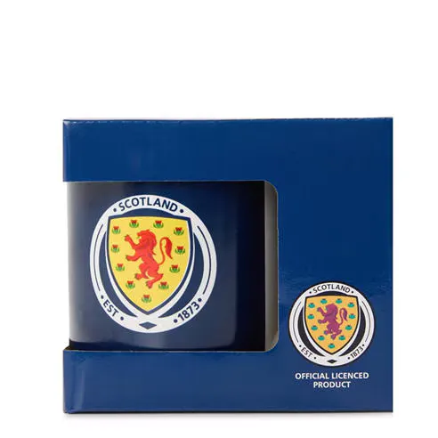 Team Men's Nations Wales Mug