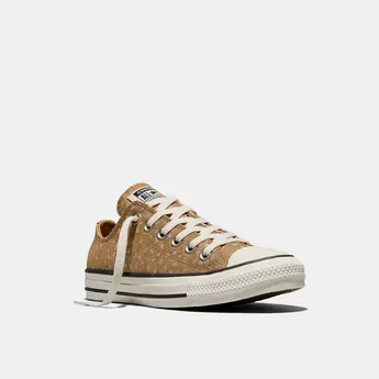 Converse Unisex Adults Chuck Taylor All Star Dee Canvas Trainers