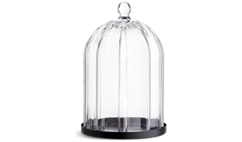 Habitat Ribbed Glass Cloche - Clear