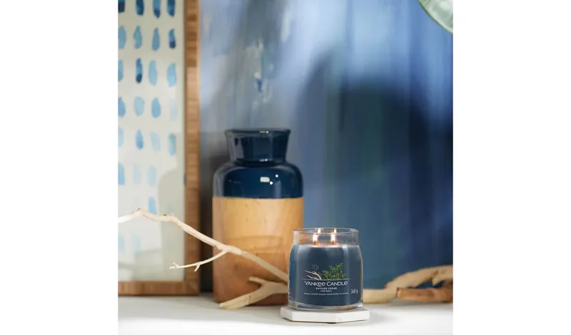 Yankee Signature Medium Scented Candle - Bayside Cedar