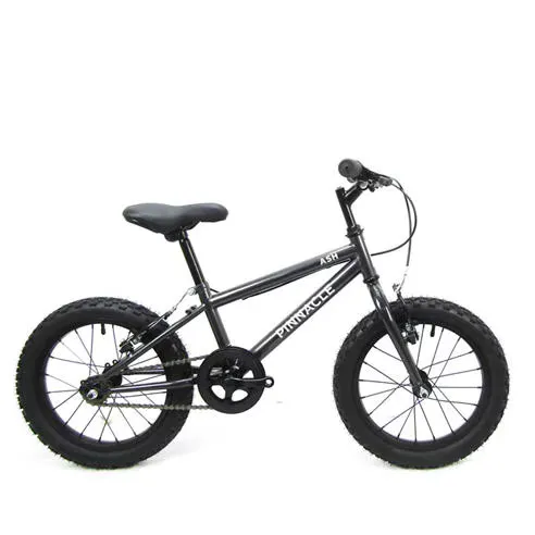 Pinnacle Ash 16 inch Kids Bike