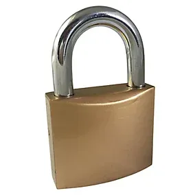 Ever Strong Iron Padlock (W)48mm
