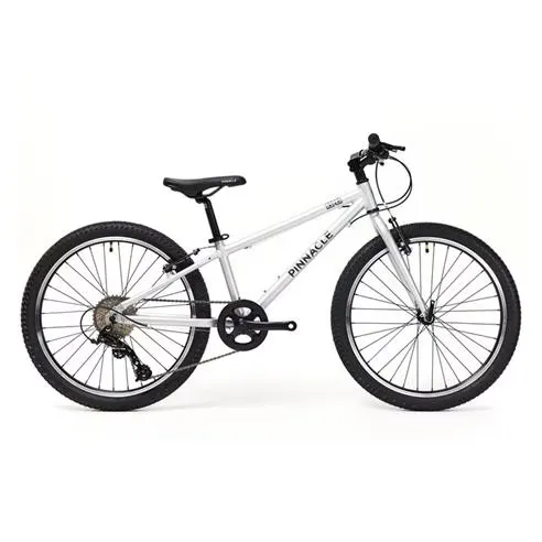 Pinnacle Aspen 24 inch Bike Junior