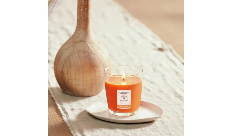 Nature's Wick Singlewick Candle - Orange Papaya