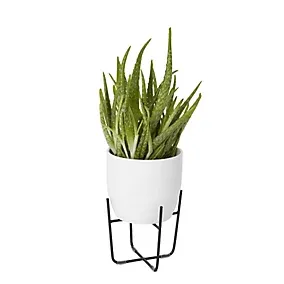 GoodHome 12cm Small Metal Pot stand