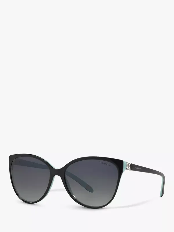 Tiffany & Co TF4089B Cat's Eye Sunglasses