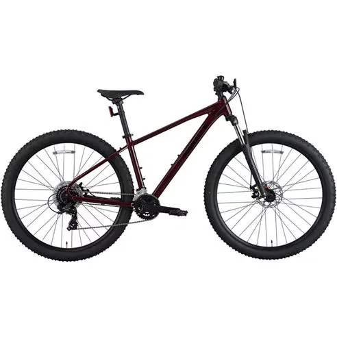 Pinnacle Flux Mountain Bike