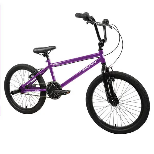 Falcon Cycles Storm 20 BMX Bike Purple