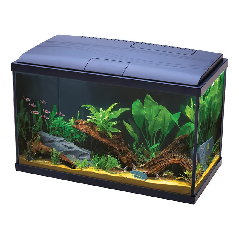 Love Fish Tropical Aquarium
