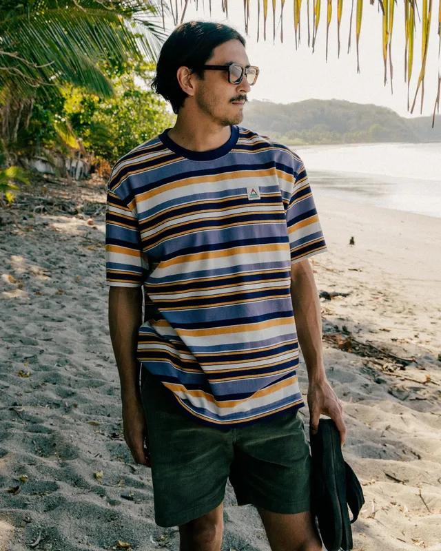 Passenger Clothing Wild Pine Stripe T-Shirt - Heather Multi Stripe