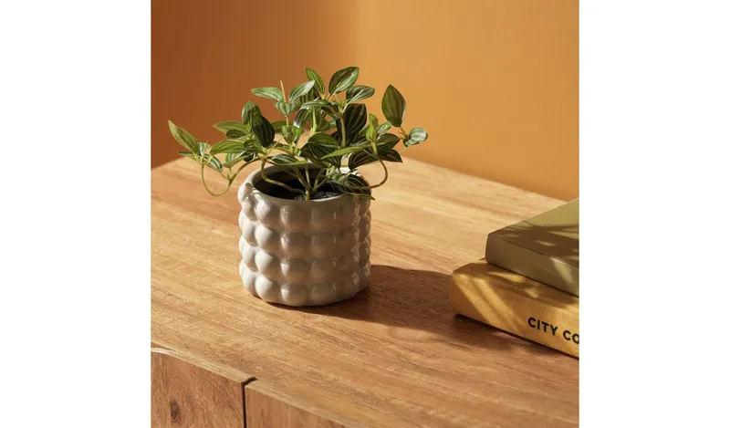 Habitat Artificial Green Small Trailing Plant - 17cm