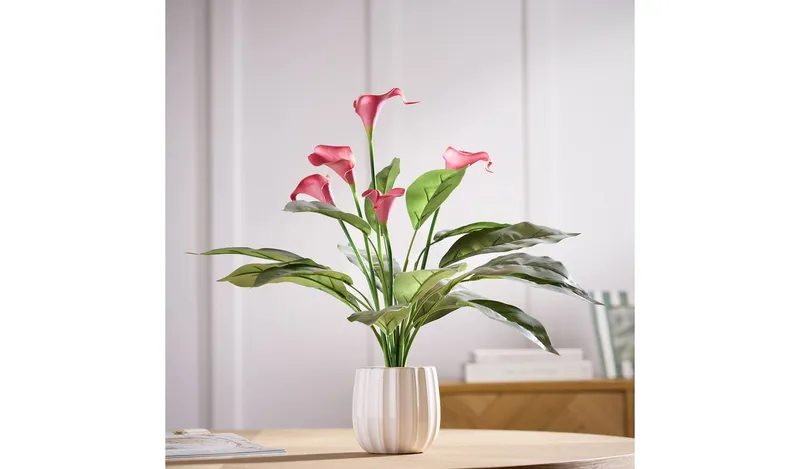 Argos Home Artificial Red Calla Lily in White Ceramic Pot - 48cm