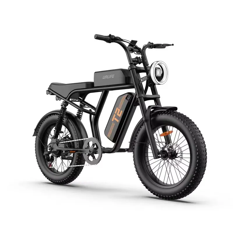 URLIFE Adult E-Bike URLIFE T2, 250W Motor, 48V15.6Ah Battery, 20"x4.0 Fat Tire