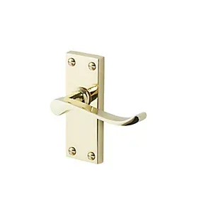 Toen Polished Brass effect Aluminium Scroll Door handle (L)99mm (D)58mm