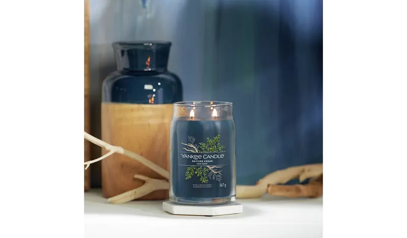 Yankee Signature Large Scented Candle - Bayside Cedar