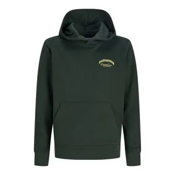 Jack and Jones Boys' Brandes Graphic Regular Fit Hoodie
