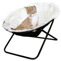 Cat Seat Sharon