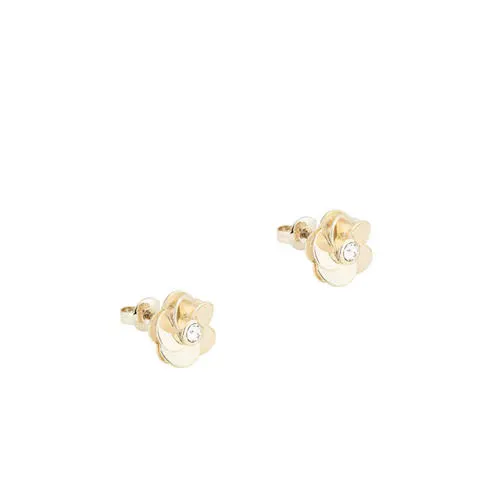 Ted Baker Women's Pelipa Stud Earrings