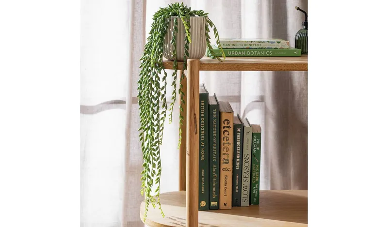 Habitat Artificial Green Succulent in Cream Ceramic Pot - 56cm