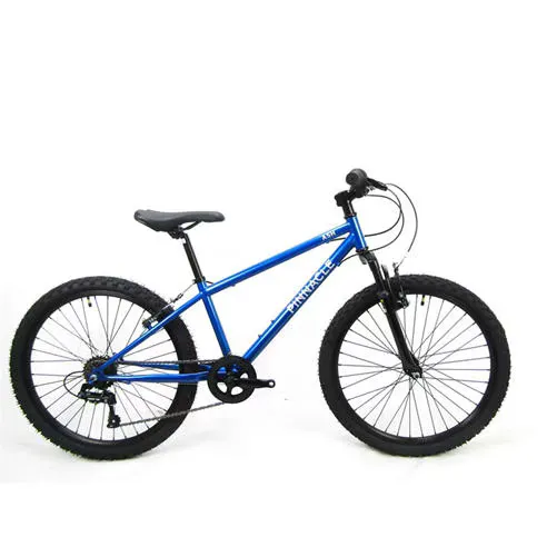 Pinnacle Ash 24 inch Bike Junior