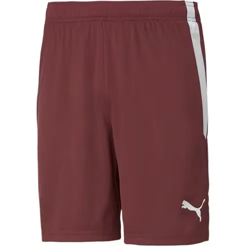 Puma Teamliga Shorts Football Short Mens