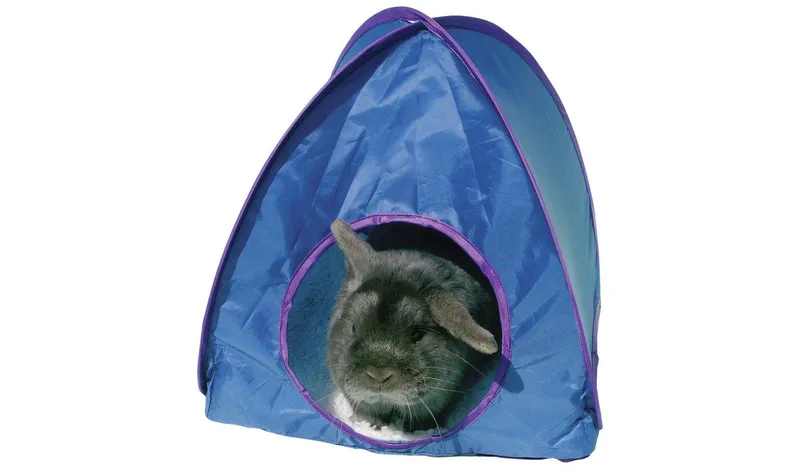 Rosewood Pop Up Rabbit Tunnel and Tent